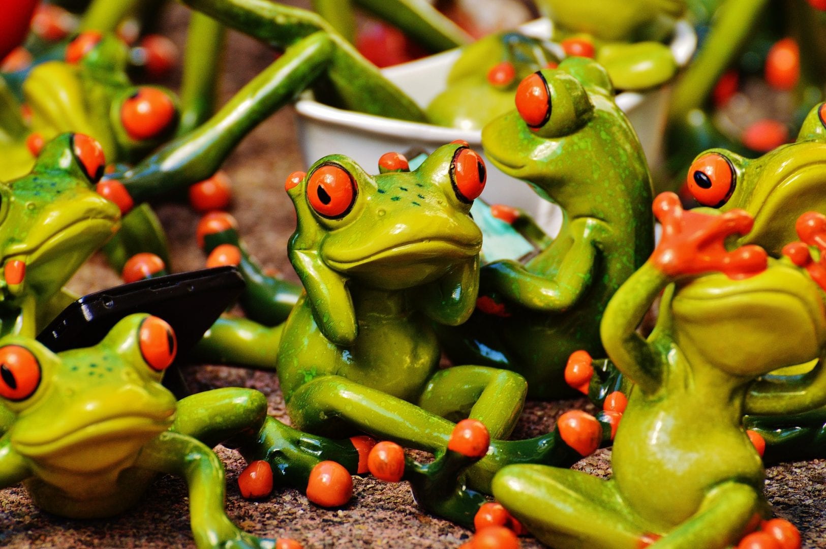 frogs-1364213_1920