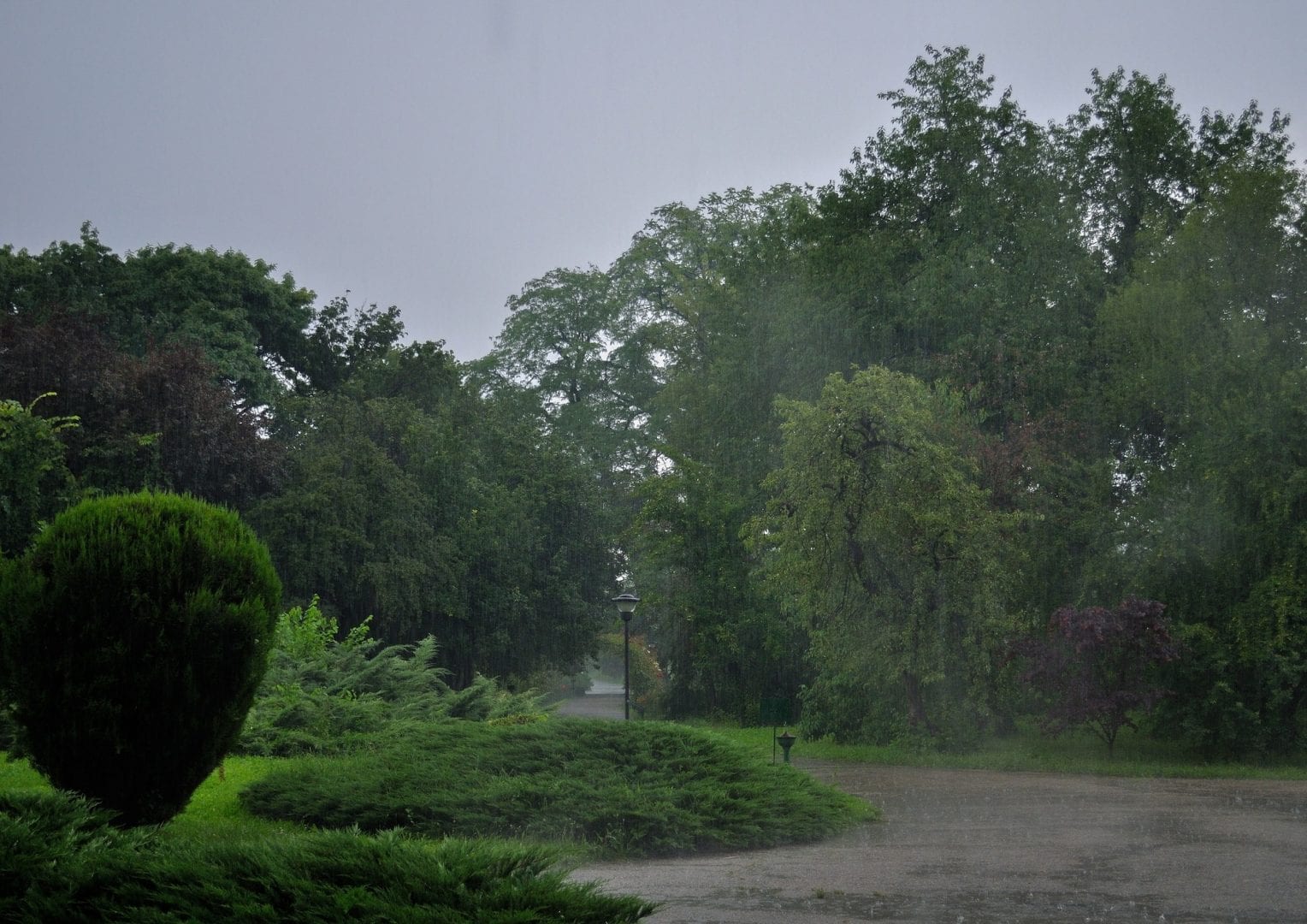 rain-411784_1920