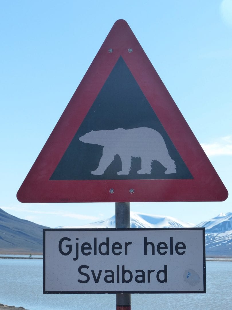 polar-bears-1224491_1920