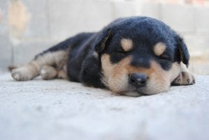 Nap time
