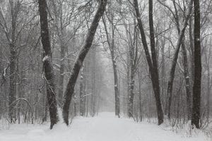 February walk tax returns