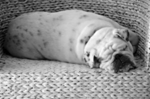 Nap time the outsourced finance director 01489 885555 self employment